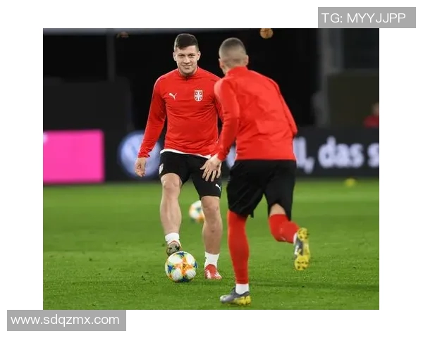 塞尔维亚足球国家队最新球员名单及其国际比赛表现分析