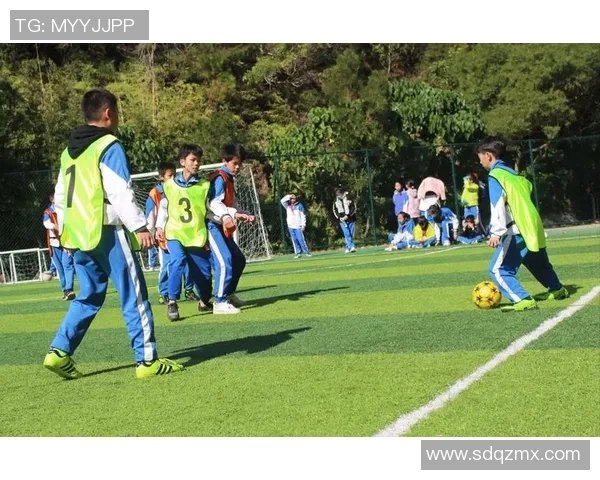 热血足球星星燃爆绿茵梦想少年追逐胜利激情永不熄灭